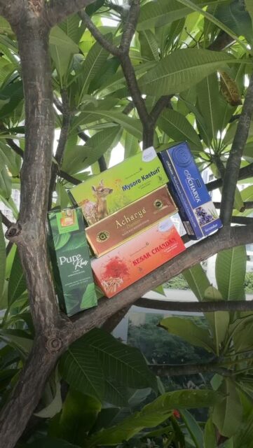 Every fragrance has a story to tell. 🌿✨

From peaceful mornings to soulful evenings, @acharyaproducts Sticks create an ambience that soothes the mind, uplifts the spirit, and fills every corner with divine positivity.

🪔 Long-lasting fragrance
🌸 Crafted with premium ingredients
🏡 Perfect for pooja, meditation & everyday rituals
🤍 Bringing peace, purity, and positivity to your home

Light a Dhoop Stick and let every fragrance tell its own beautiful story.

Order now at www.acharyaproducts.com
WhatsApp us on: +918928487357
.
.
.

#AcharyaProducts #DhoopSticks #DivineFragrance #SpiritualLiving #HomeFragrance
[AcharyaProducts, PoojaEssentials, Meditation, Aromatherapy, PositiveVibes, DailyRituals, PeacefulHome, NaturalFragrance, IndianTradition, MindfulLiving, FragranceThatInspires]